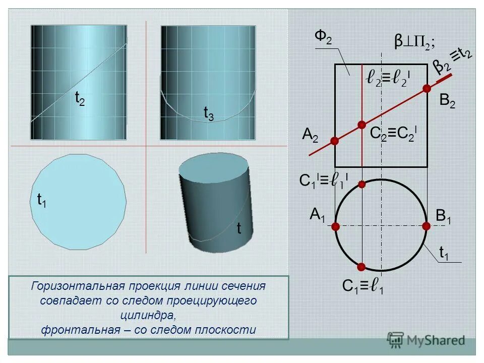 Экватор это в географии. Земля с экватором меридианами и параллелями. Градусная сеть 5 класс география. Условная линия сечения. Меридианы на земном шаре.