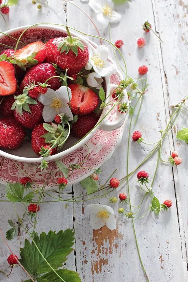 Strawberry flowers
