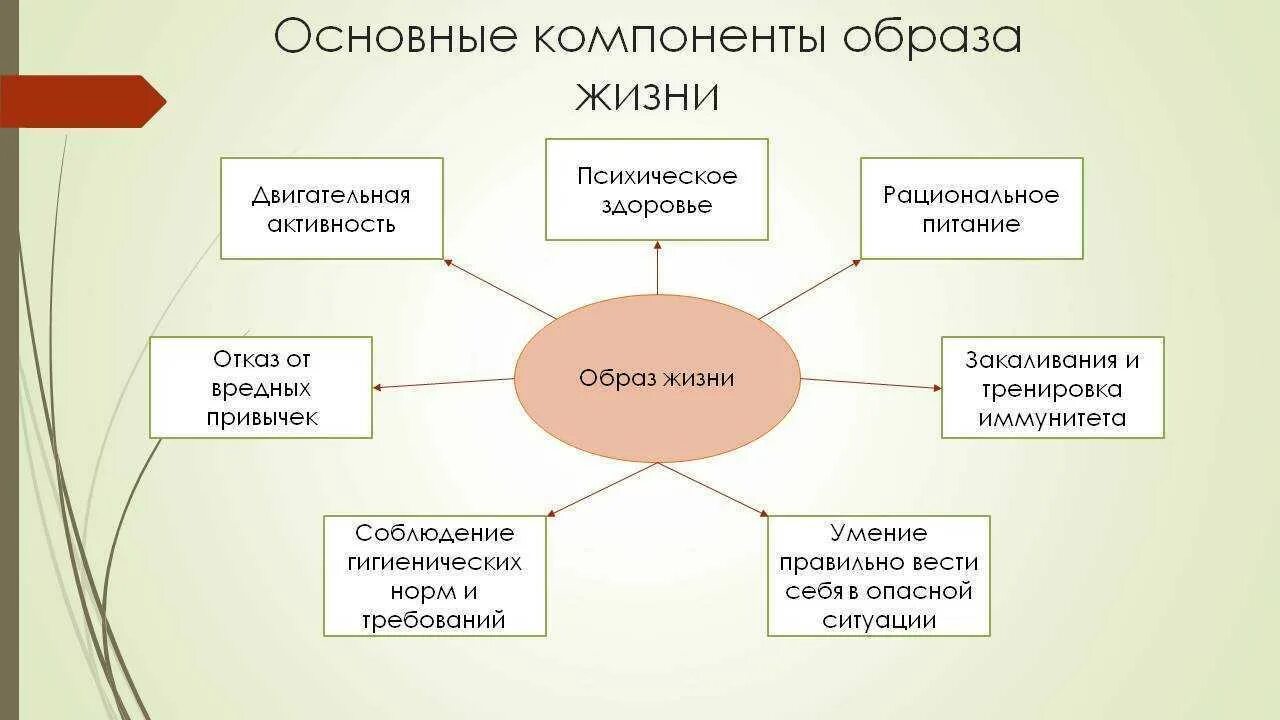 Центром здоровья является. Составляющие здорового образа жизни ОБЖ таблица. Компоненты здорового образа жизни. Основные составляющие ЗОЖ. Составляющие элементы здорового образа жизни.