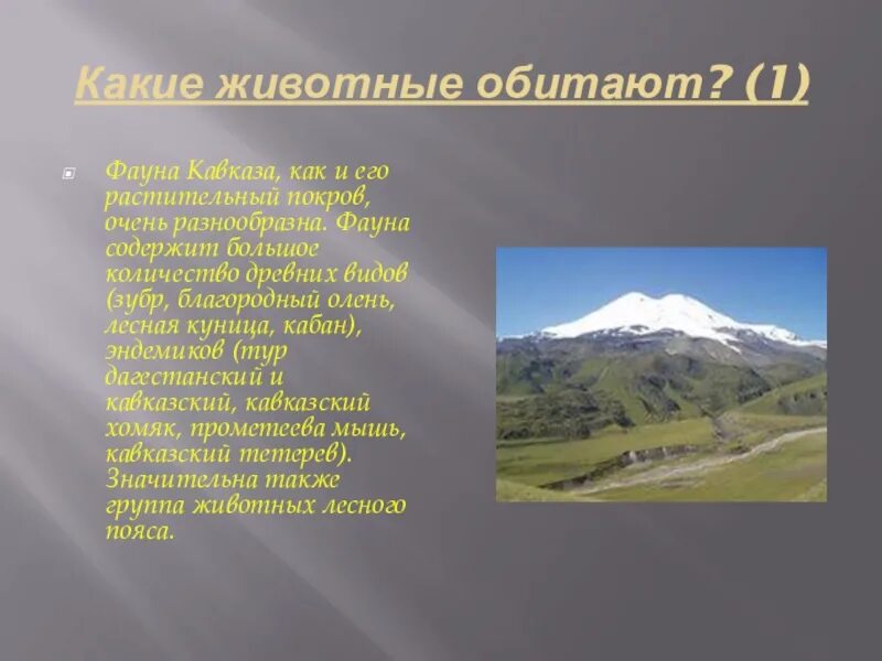 Горы на кавказе названия список. Ростительный и живой мир Кавказа. Кавказ презентация. Кавказ растительный мир и животный мир. Растительный и животный мир кавказских гор.