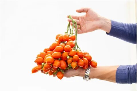 Семена помидор монпансье