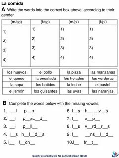 Write the words in the correct boxes