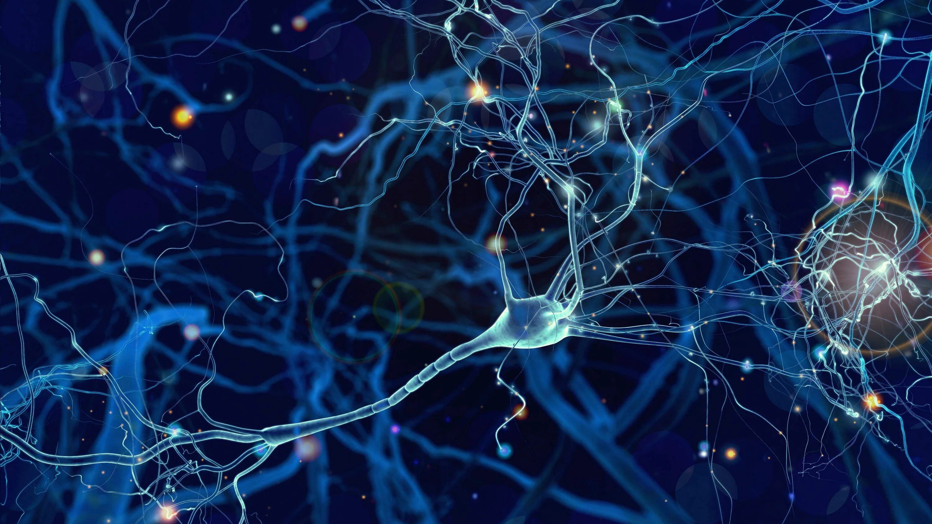 Основные клетки мозга. Синапс нейрона. Нейроны мозга. Нейронная клетка. Нейрон красивый.