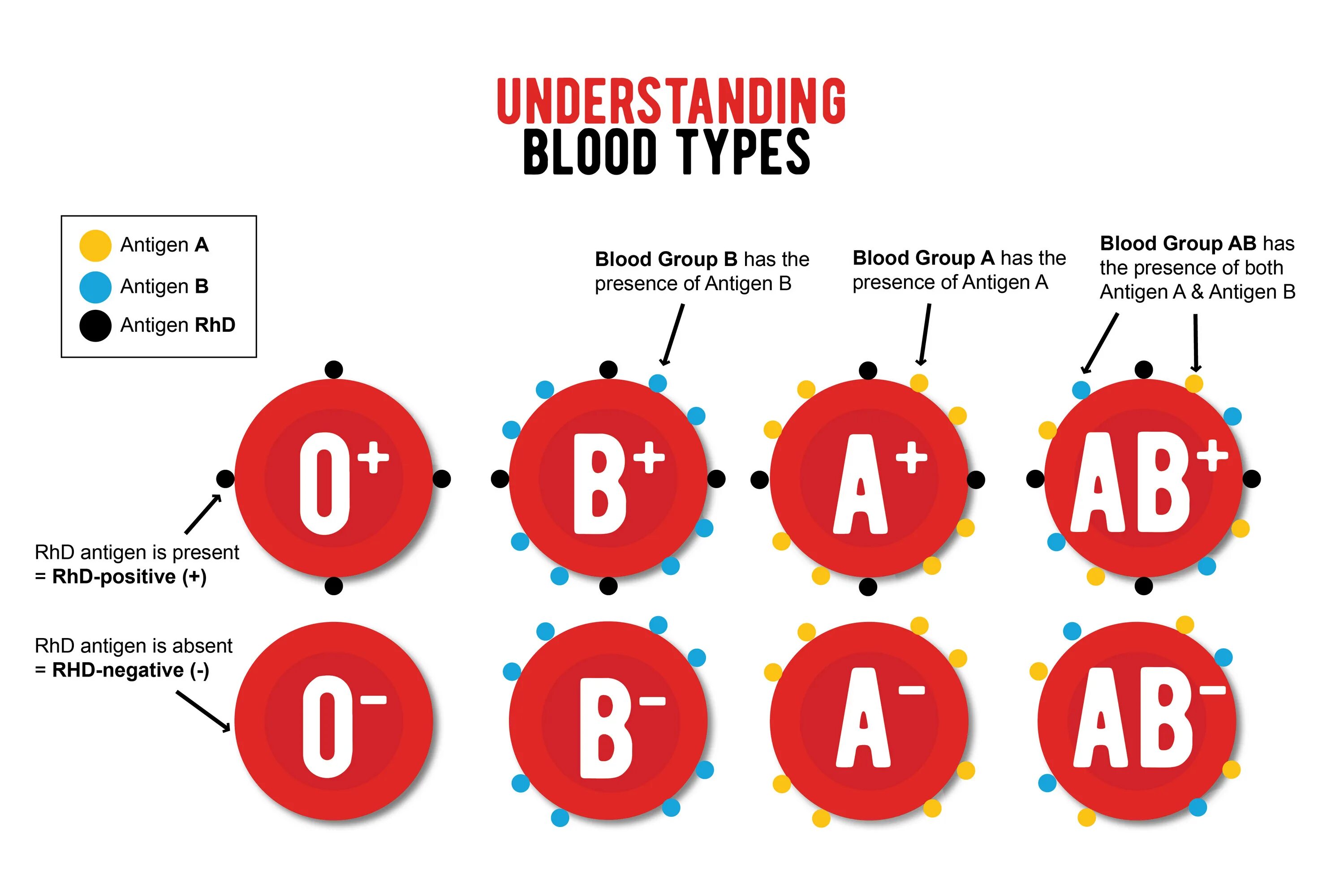 Blood Types. Группы крови инфографика. Ab Blood Type. Type a кровь.