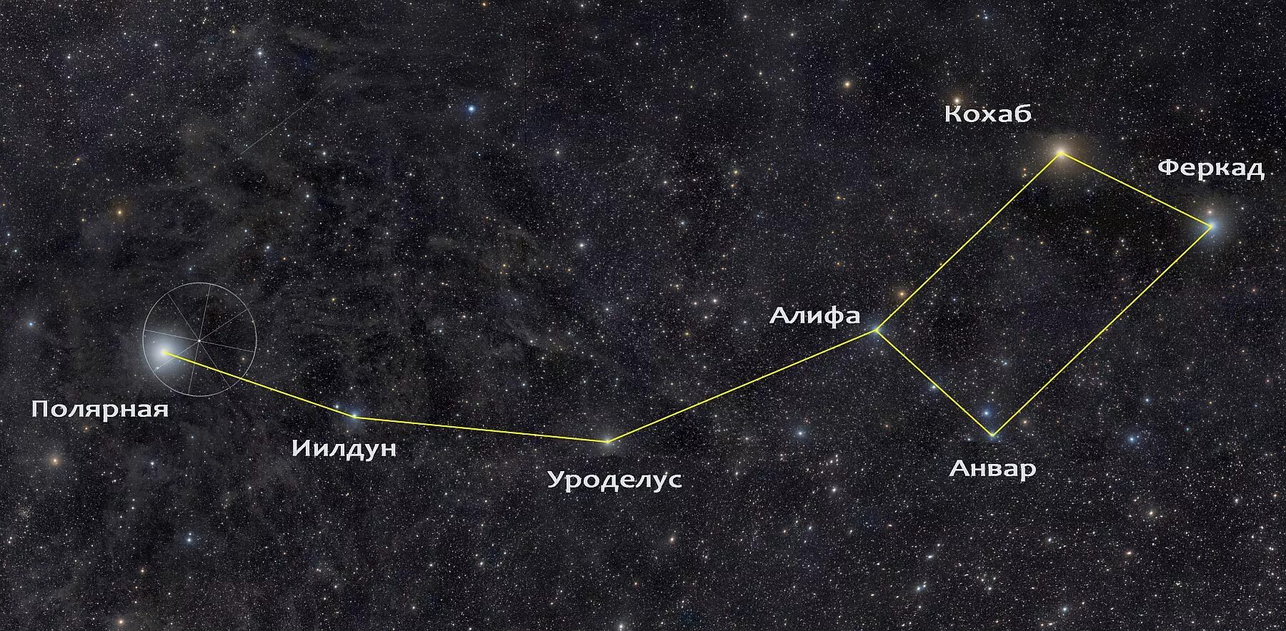 Можно ли с венеры разглядеть малую медведицу. Звезды большой и малой медведицы. Большая и малая Медведица Полярная звезда. Звезды в созвездии малой медведицы. Созвездие Альфа Центавра.