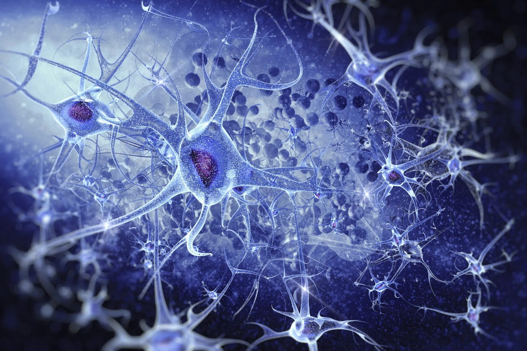 Neural system