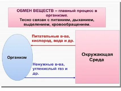 Признак обмена вид обмена