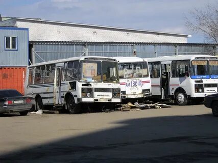 Аис 36 воронежская область
