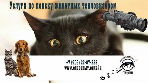 Система поиска животных