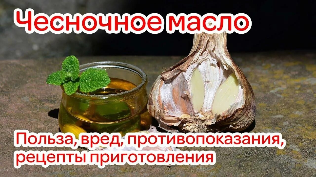 Масло чесночное рецепт приготовления в домашних условиях. Чесночное масло рецепт приготовления. Чесночное масло польза. Чесночное масло польза и вред. Чесночное масло рецепт приготовления в домашних.