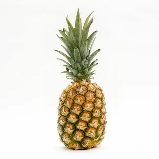 Pineapple fruit