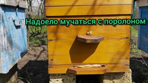 Соль пчелам