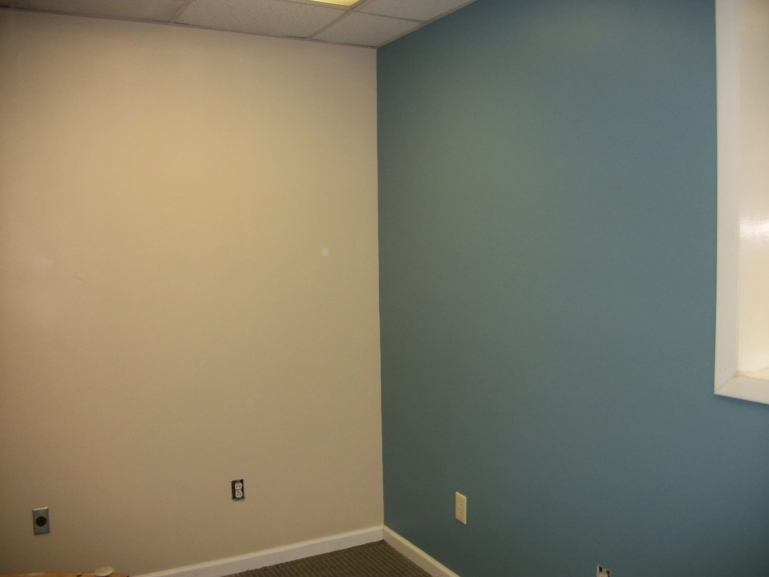 Краска для стен. Окрашенные стены. Краска для стен цвета. Краска для стен в квартире. Краски под обои цвета