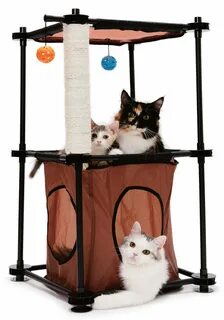 Kitty city