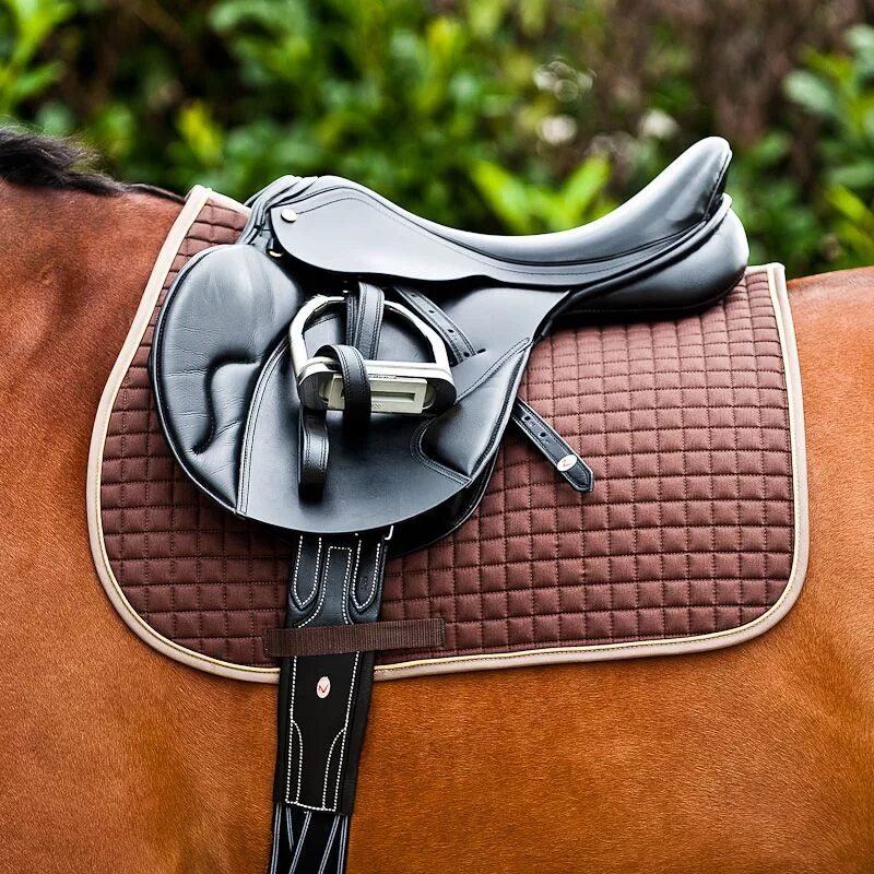 вальтрап для лошади на лошади.