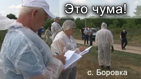 Зацени это чума