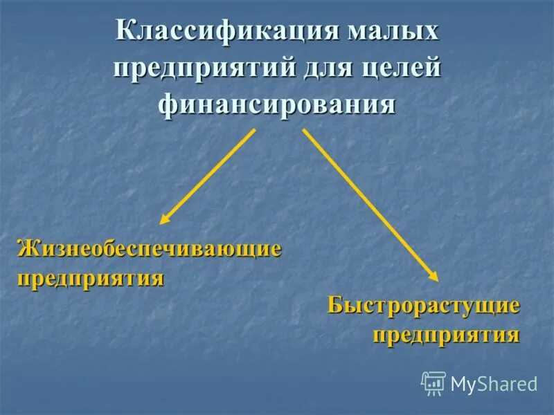 Классификация малого предпринимательства. Классификация предпринимательства. (малые инновационные организации виды. Классификация малых предприятий. Виды малых предприятий.