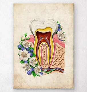 i?id=a4dafe8ef5e02f595244ffdc4f96f0af637