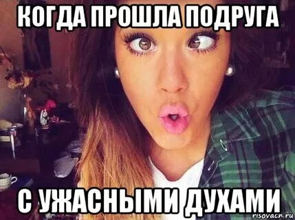 Суки ж