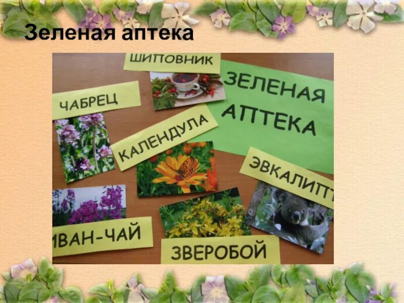 Народные рецепты лечения атеросклероза - Народная медицина - Медиаплатформа МирТ