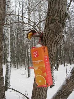 Кормушка из сока
