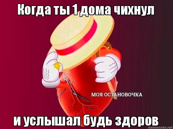Будь здоров чихание