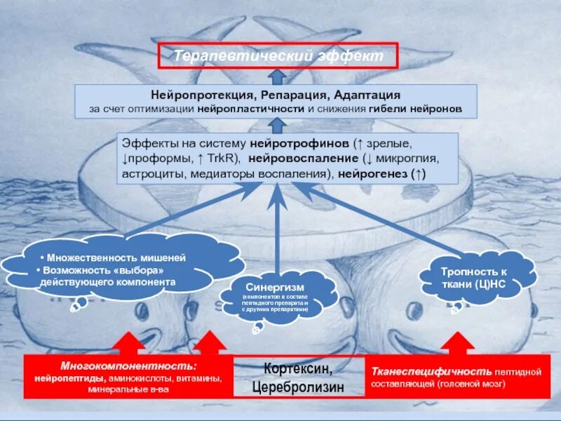 Нейропротекция. Нейровоспаление признаки. Нейропротекция и Нейропластичность. Как выявить нейровоспаление у ребёнка. Нейровоспаление при депрессии.