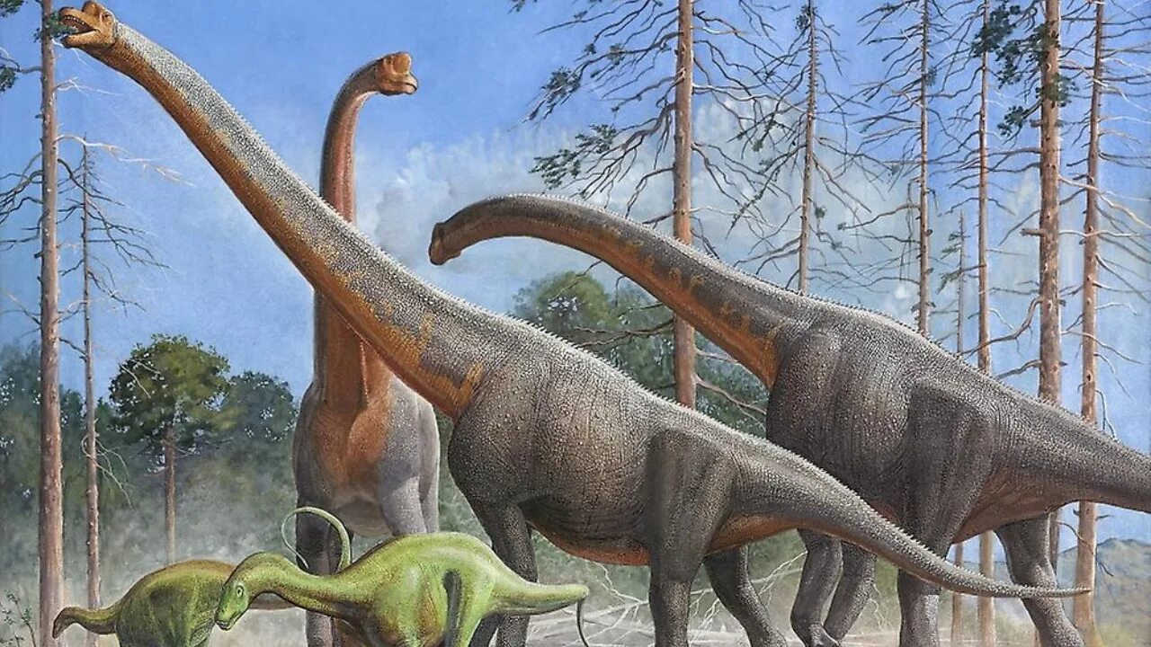 Длинношеий динозавр. Диплодок Аргентинозавр. Травоядные динозавры зауроподы. Травоядные динозавры Брахиозавр. Травоядные динозавры Диплодок.