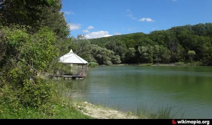 Село родное озера. Село родное севастополь озеро. Село родное озера. Село родное севастополь рыбалка. Озеро кучки севастополь.
