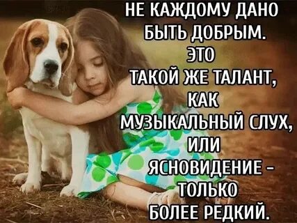 Будьте добрей друг другу цитаты
