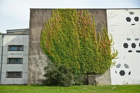 Real plant