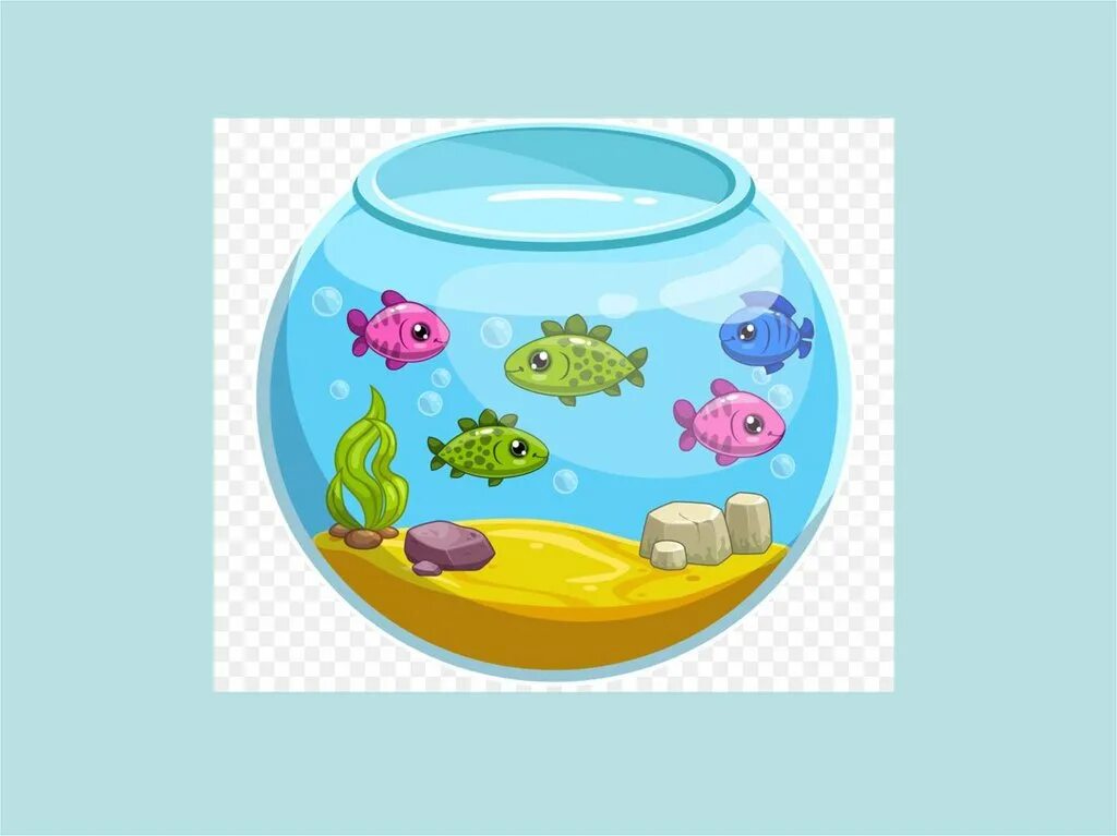 Рыбки плавающие в аквариуме средняя группа. Аквариум для дошкольников. Аквариум с рыбками для детей. Рыбки в аквариуме рисование в средней группе. Аквариум занятия для детей.