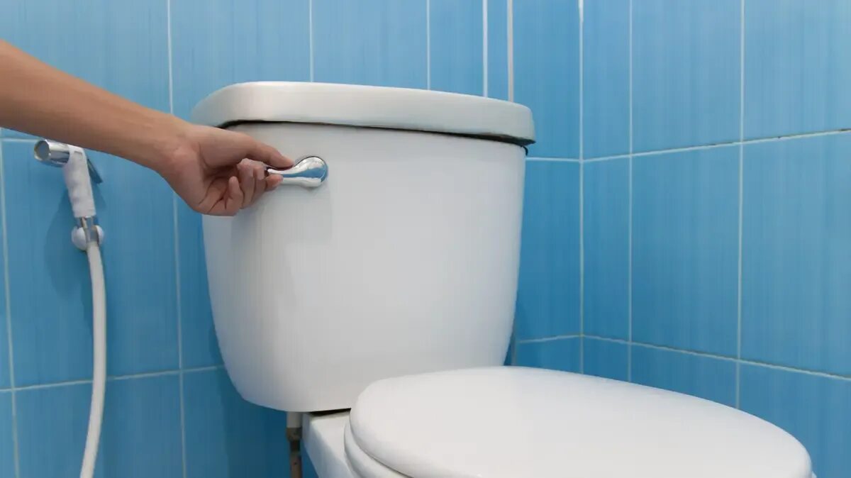 Toilet short. Унитаз. Вода возле унитаза. Сантехника вода унитаз. Унитаз волна.