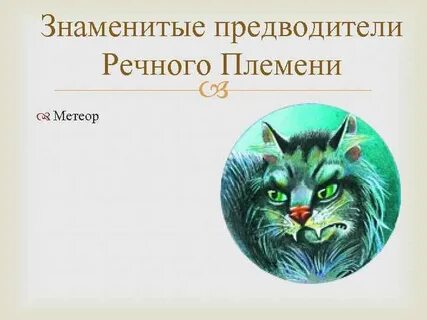 Целители племен