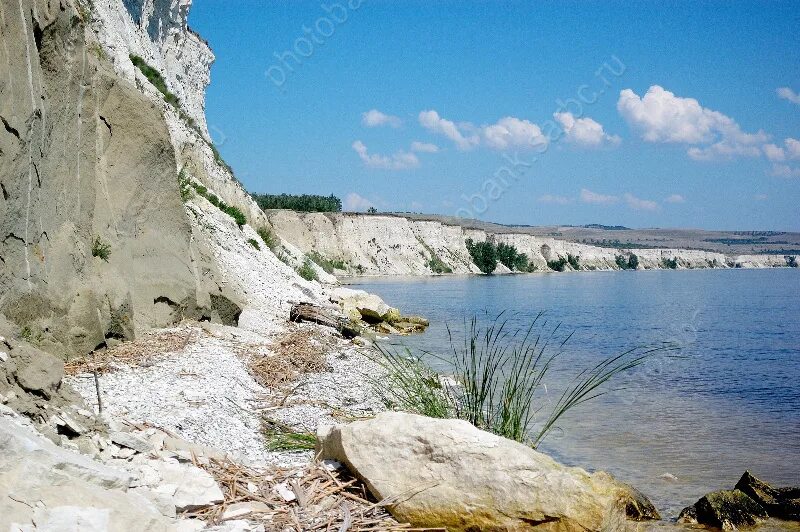 Утёс Степана Разина Саратовская область. Село золотое Красноармейский район Саратовская область. Волга Красноармейский район Саратовская. Красноармейск Саратовская область Волга.