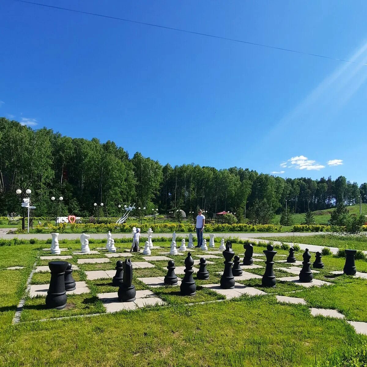 Мамоново парк маслянино. Молодежный парк москва. Молодой парк. Зелёные насаждения парк коломенский. Молодой парк в барановичах.