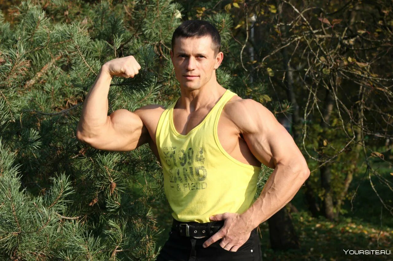 Шредер ютуб. Шредер ютуб