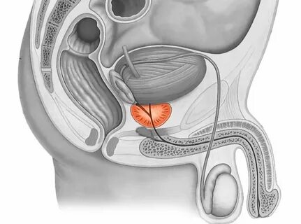 Орыс фемдомының иесін онлайн көріңіз
