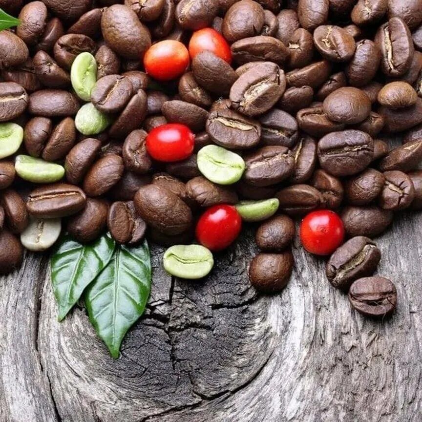 Кофе это фрукт. Кофе в зернах. Кофейные зерна. Сорта кофе. Кофе «зерновой».