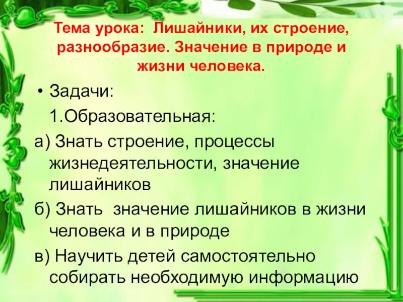 Значение лишайников в природе и жизни человека. Роль лишайников в природе и жизни. Роль грибов и лишайников в природе и жизни человека. Значение лишайников в жизни человека. Какова роль лишайников