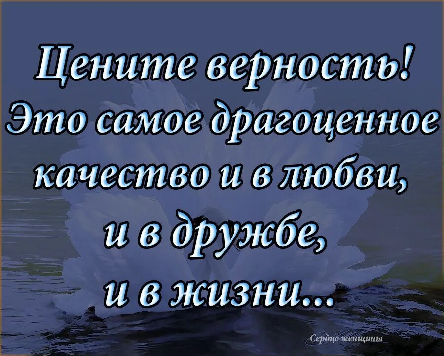 Цените тех высказывания. Цитаты про верность. Афоризмы про верность и преданность. Цитаты про верность и любовь. Высказывания о верности и любви.