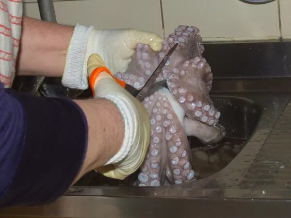 Как почистить осьминога. Осьминог приготовленный. Как почистить осьминога. Осьминог выворачивалка. Осьминог который выворачивается.