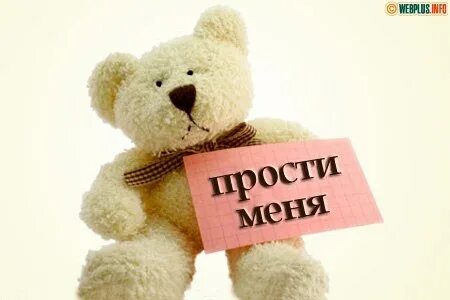 Прости или извини