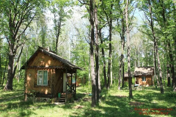 Турбазы на июль