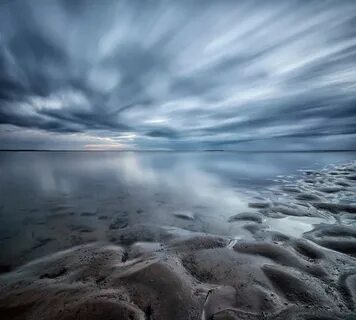 Природа северного моря