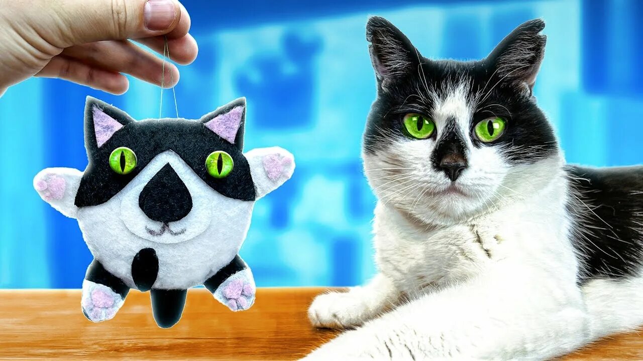 Давайка кот малыш. Кот малыш анука давайка. кот малыш с канала анука давайка. а ну ка давайка. анука давайка 3д ручка.