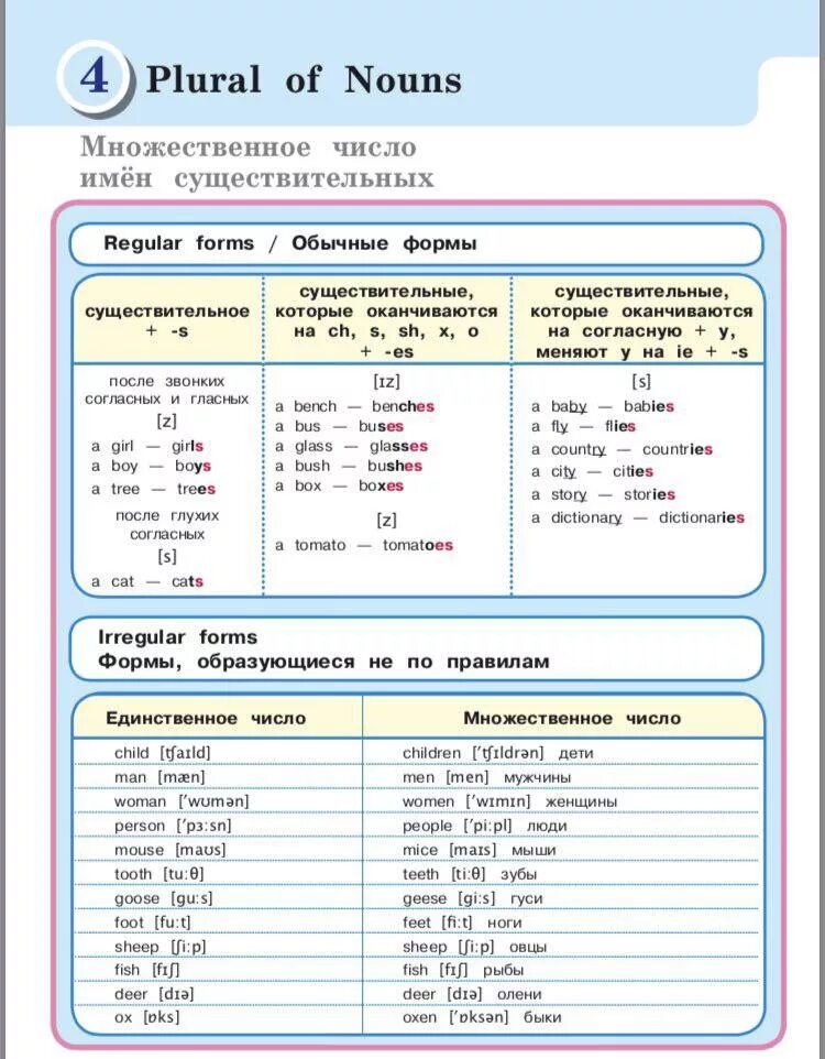 Образовать множественное число woman. Plural of Nouns множественное число существительных. Plural Nouns правило. Plural Nouns правила. Plural Nouns множественное число.