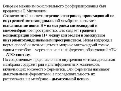 Биологическое окисление и окислительное фосфорилирование