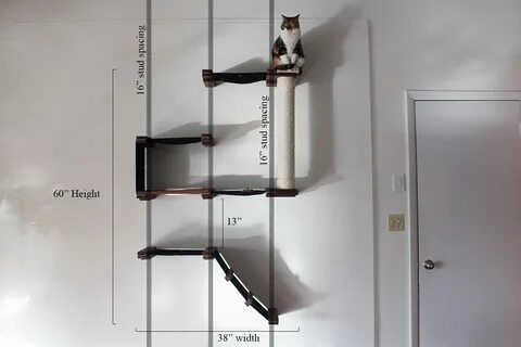Расстояние кошки