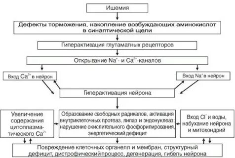 Патогенез аномалий